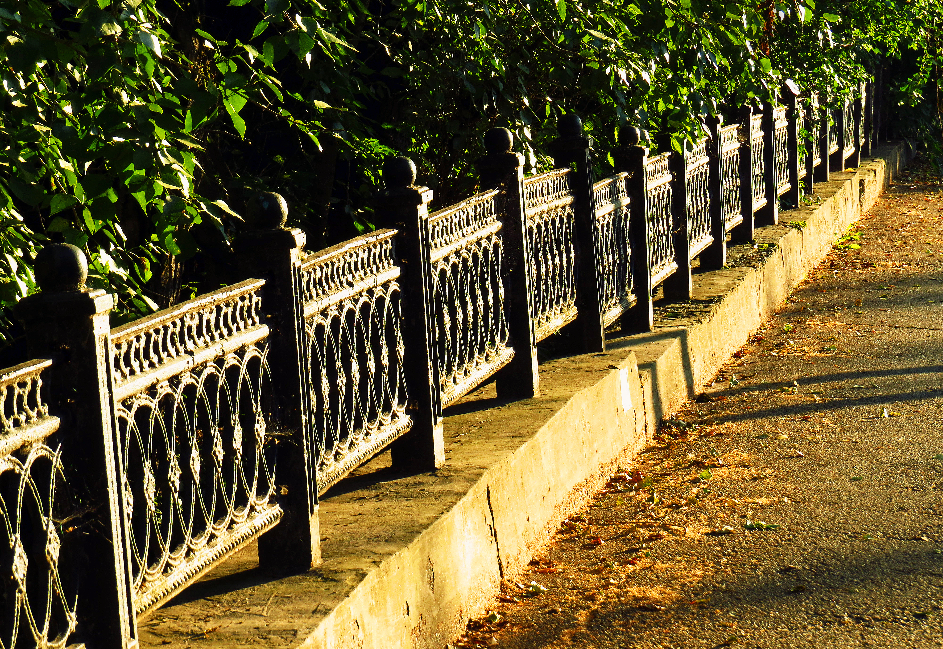 Самоопределение профессионально